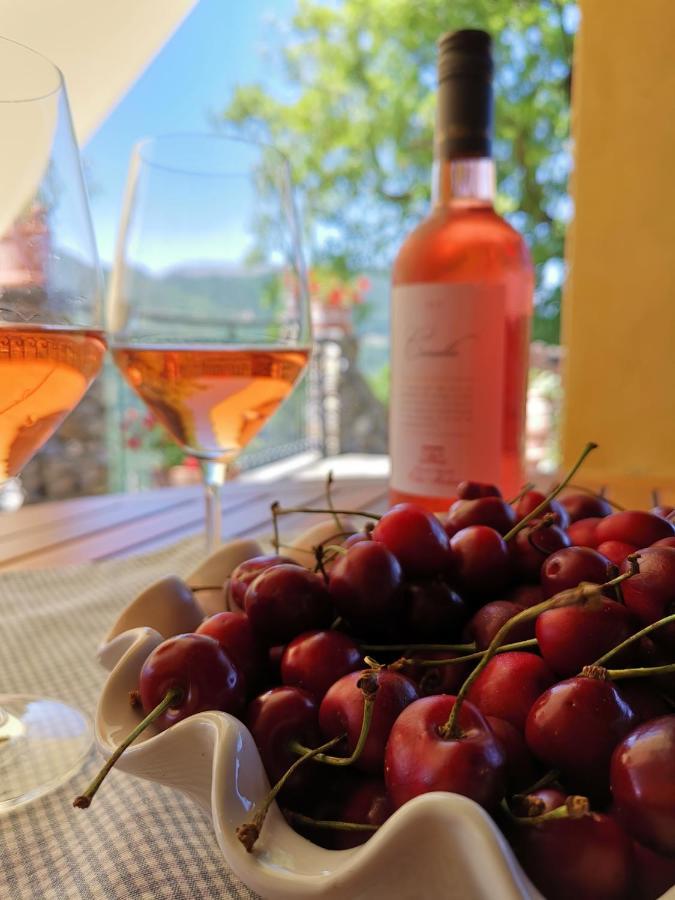Bed and Breakfast Elsa House Mezzanego Exterior foto
