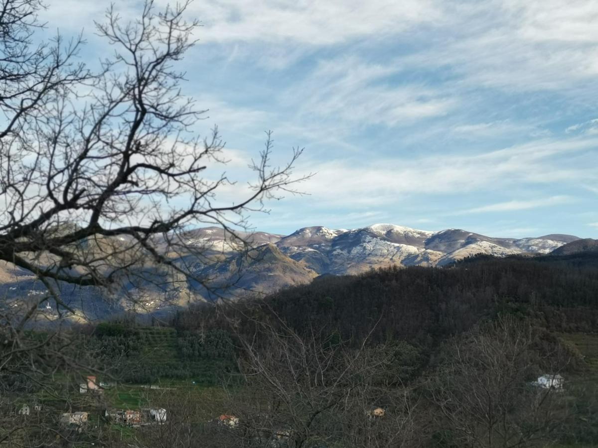 Bed and Breakfast Elsa House Mezzanego Exterior foto