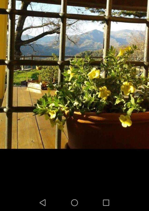 Bed and Breakfast Elsa House Mezzanego Exterior foto