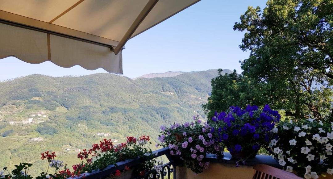 Bed and Breakfast Elsa House Mezzanego Exterior foto