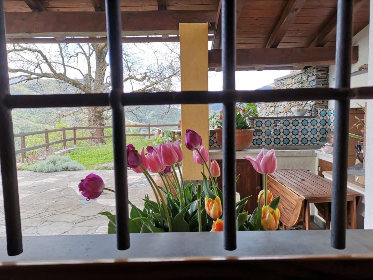Bed and Breakfast Elsa House Mezzanego Exterior foto