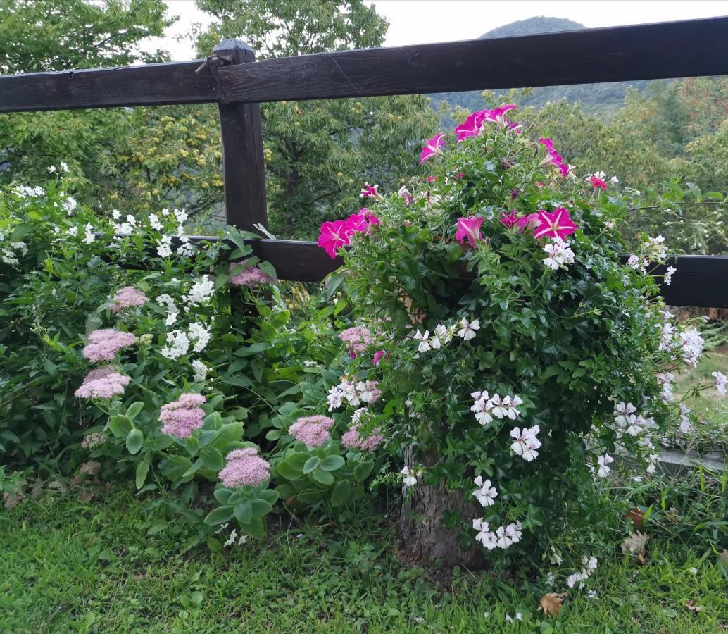 Bed and Breakfast Elsa House Mezzanego Exterior foto