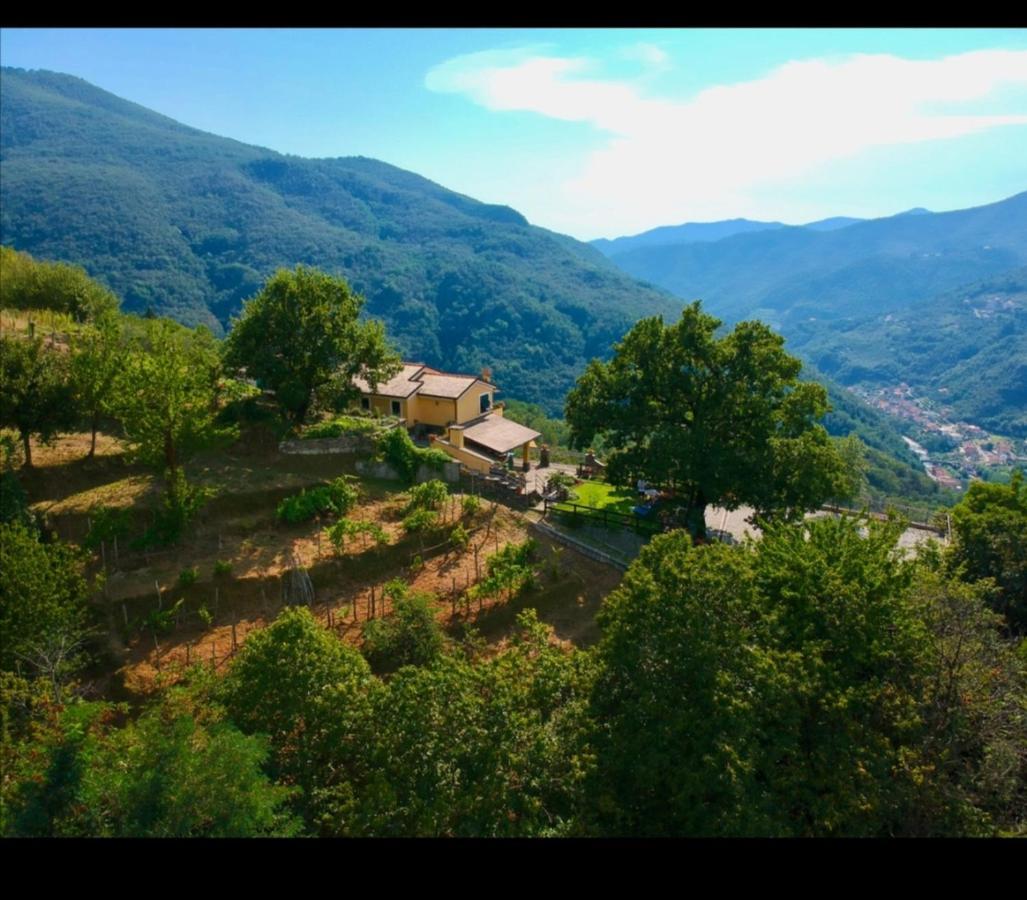 Bed and Breakfast Elsa House Mezzanego Exterior foto
